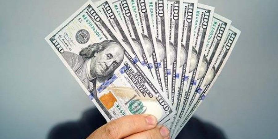 سعر الدولار في البنوك الخاصة اليوم 15-12-2024 - خليج نيوز