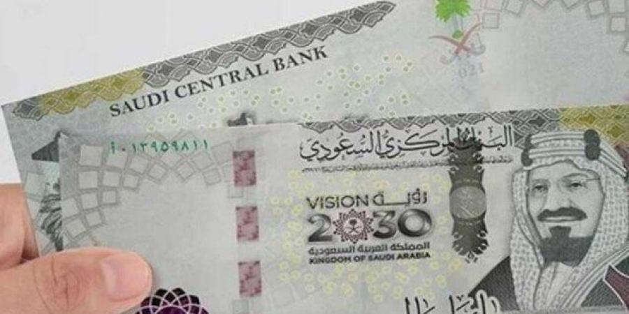 سعر الريال السعودي مقابل الجنيه المصري اليوم الاثنين 16 ديسمبر 2024 - خليج نيوز