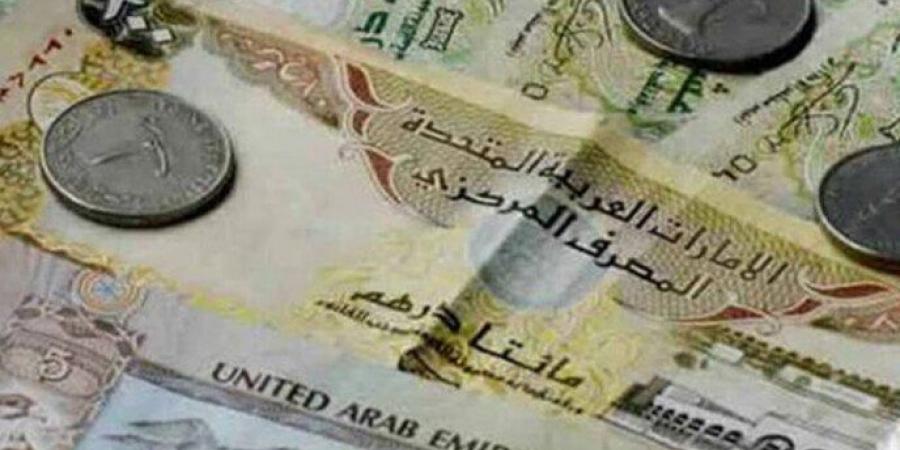 سعر الدرهم الإماراتي مقابل الجنيه المصري اليوم الإثنين 16 ديسمبر 2024 - خليج نيوز