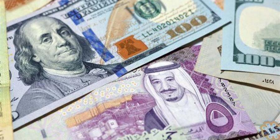 سعر الريال السعودي مقابل الجنيه بالبنوك اليوم الأربعاء 18-12-2024 خليج نيوز