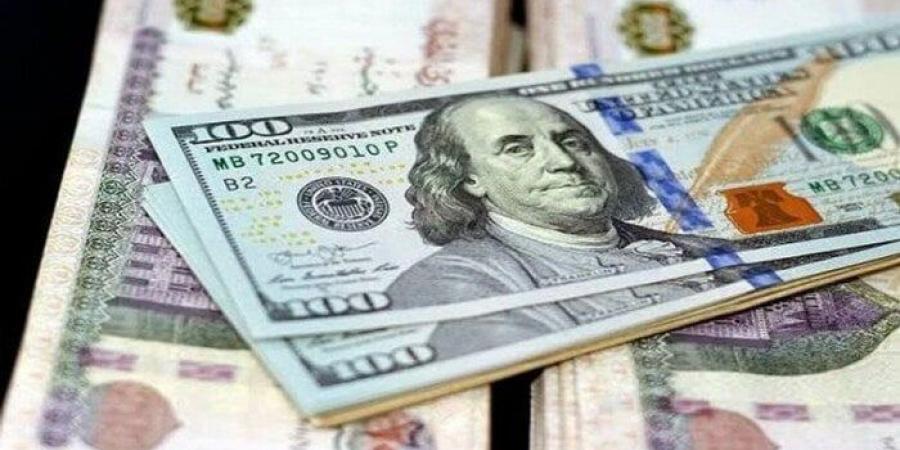 كم بلغ سعر الدولار الجمعة 20 ديسمير 2024؟ - خليج نيوز