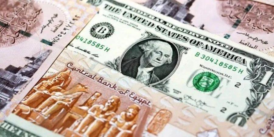 سعر الدولار مقابل الجنيه اليوم الجمعة 20 ديسمبر 2024 - خليج نيوز