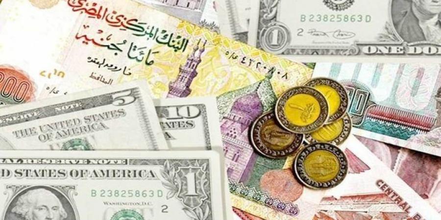 الريال والدرهم والدينار بكام؟.. أسعار العملات اليوم الجمعة 20 ديسمبر 2024 - خليج نيوز