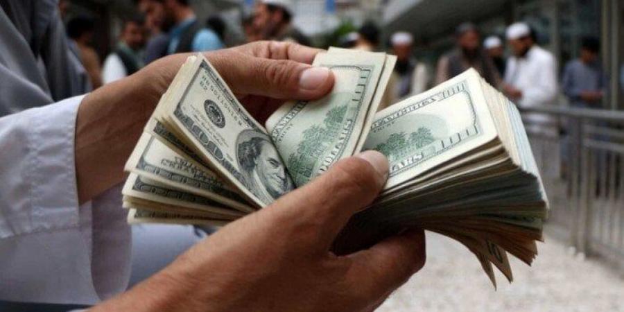 سعر الدولار اليوم الجمعة 20 ديسمبر 2024.. بكام في البنوك والسوق السوداء؟ - خليج نيوز