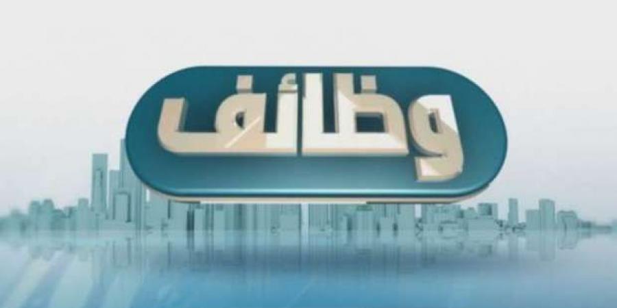 وظائف بنك القاهرة 2024.. لو عايز تشتغل في مؤسسة حكومية - خليج نيوز