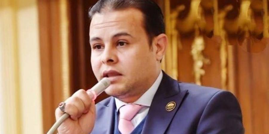 برلماني: تصريحات الرئيس السيسي عن الشائعات والأكاذيب المحيطة بمصر تتطلب التكاتف لدحضها - خليج نيوز