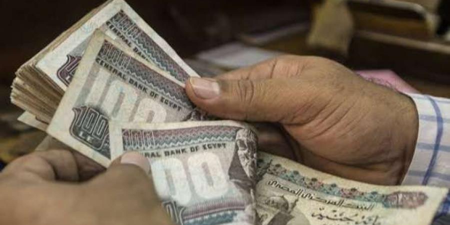 4 نصائح مهمة لتنظيم الميزانية.. «وفر فلوسك لآخر الشهر» - خليج نيوز