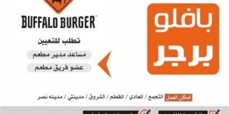 راتب يصل لـ 10.500 جنيه.. «الشباب والرياضة» توفر فرص عمل جديدة «تفاصيل» - خليج نيوز