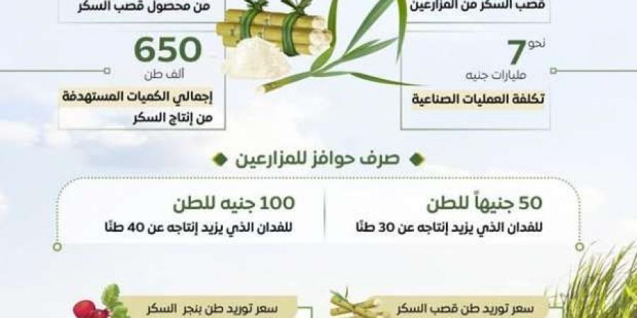 8 معلومات تكشف استعدادات الحكومة لموسم قصب السكر 2025 - خليج نيوز