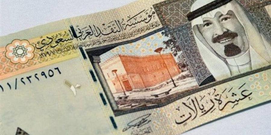 أسعار الريال السعودي بالجنيه المصري.. تحديثات الأسعار اليوم الخميس 26-12-2024 خليج نيوز