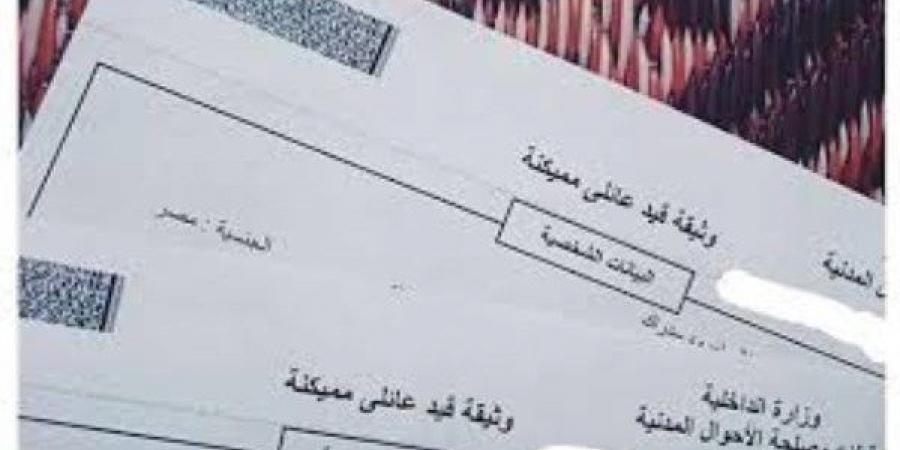 الأوراق المطلوبة لاستخراج قيد عائلي.. الاستلام في نفس اليوم - خليج نيوز