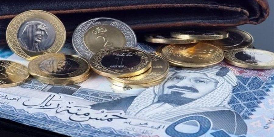 سعر الريال السعودي اليوم السبت 28 ديسمبر 2024 في مصر مقابل الجنيه المصري خليج نيوز