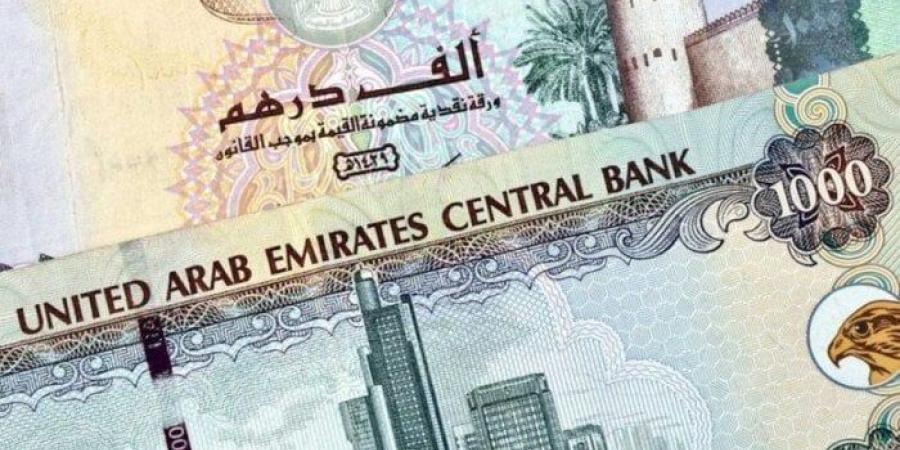 سعر الدرهم الإماراتي مقابل الجنيه المصري اليوم الإثنين 30 ديسمبر 2024 - خليج نيوز