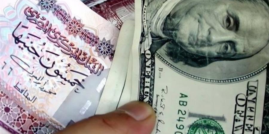 سعر الدولار مقابل الجنيه اليوم الأربعاء 1-1-2025 - خليج نيوز