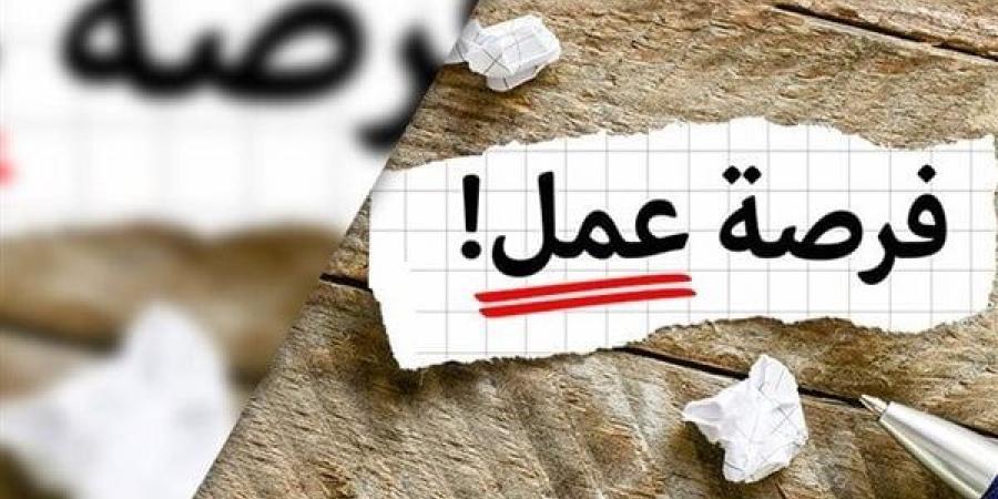 وظائف تكنولوجيا معلومات واتصالات في مصر: فرص عمل متنوعة خليج نيوز