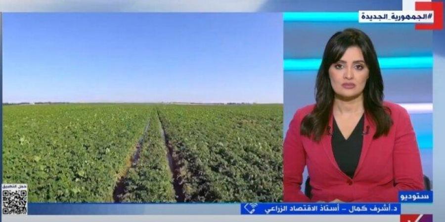 خبير: النهضة في قطاع الزراعة تعكس اهتمامًا غير مسبوق من القيادة السياسية «فيديو» - خليج نيوز