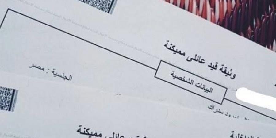 طريقة استخراج قيد عائلى من الانترنت والأوراق المطلوبة - خليج نيوز