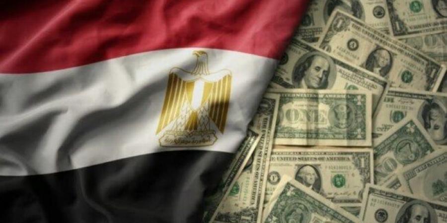 11.889 مليار دولار زيادة في احتياطيات النقد الأجنبي لدي مصر آخر 12 شهر - خليج نيوز