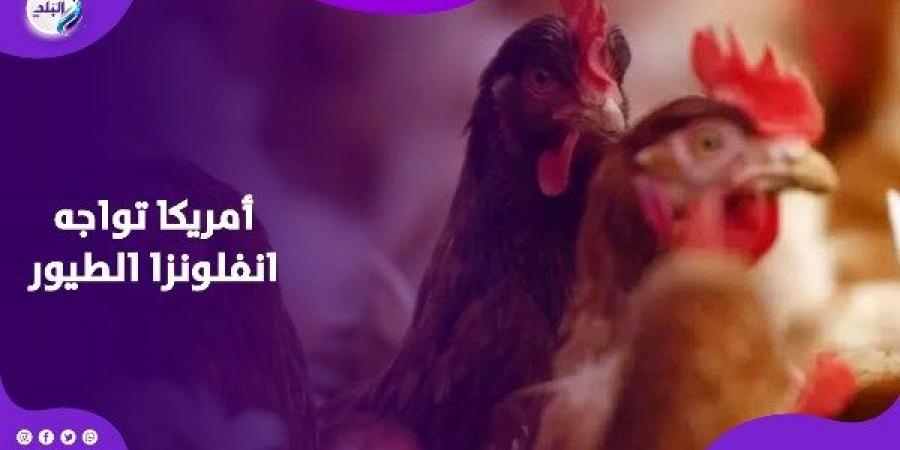 إنفلونزا الطيور تضرب البشر لأول مرة في أمريكا.. مدى انتشاره وخطورته - خليج نيوز