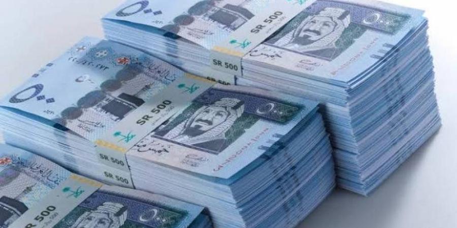 سعر الريال السعودي مقابل الجنيه اليوم الأربعاء 8 يناير 2025 - خليج نيوز