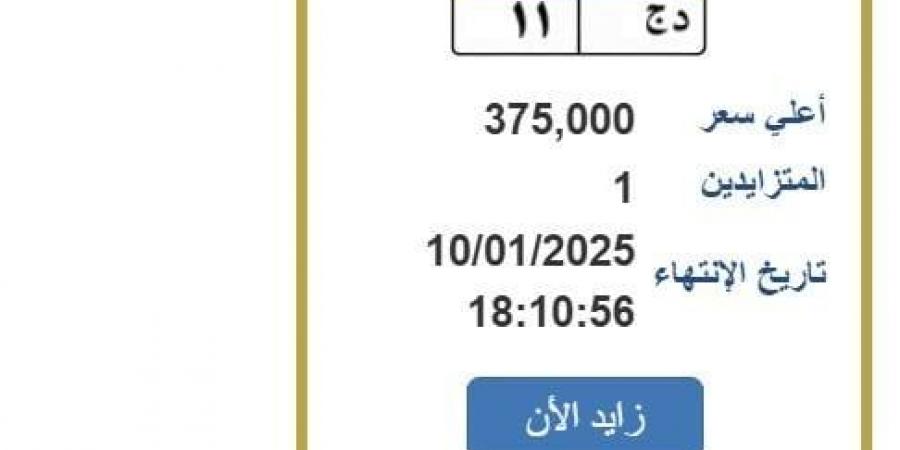 سعرها وصل 375 ألف جنيه.. خطوات التزايد على لوحة سيارة مميزة (رابط) - خليج نيوز