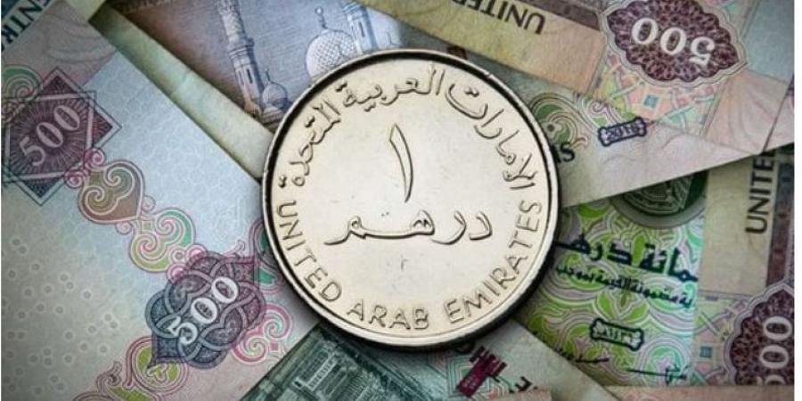 سعر الدرهم الإماراتي مقابل الجنيه اليوم الإثنين 13 يناير 2025 في البنوك - خليج نيوز