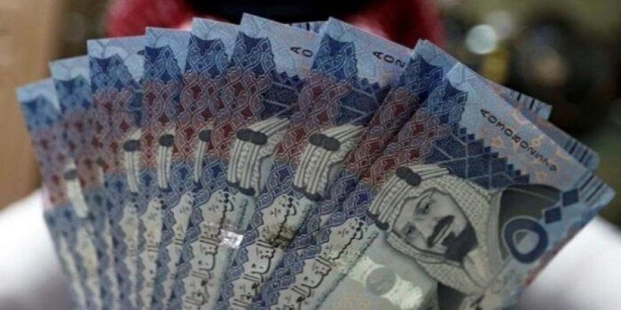 سعر الريال السعودي اليوم الإثنين 13 يناير 2025 - خليج نيوز