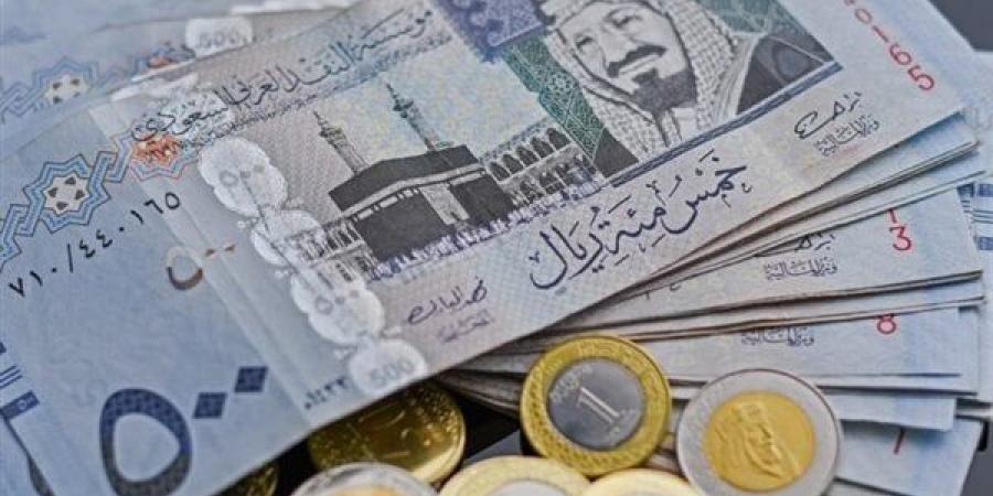 سعر الريال السعودى اليوم الثلاثاء 14 يناير 2025 فى مصر مقابل الجنيه خليج نيوز