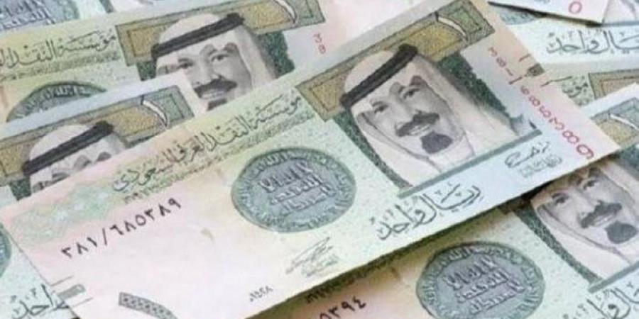 سعر الريال السعودي بالبنوك اليوم الأربعاء 15-1-2025 - خليج نيوز