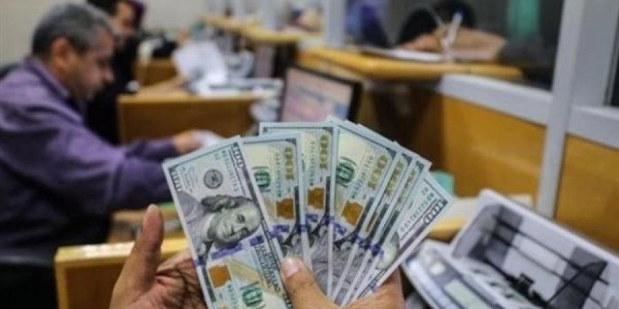 أسعار الدولار في مصر اليوم.. سعر الدولار في بنوك مصر الآن خليج نيوز