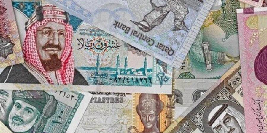 الدينار الكويتي أعلى خمس عملات عربية سعرا في البنك المركزي المصري - خليج نيوز