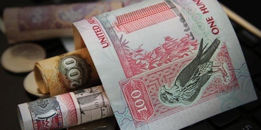 سعر الدرهم الإماراتي بالبنوك المصرية اليوم السبت 18-1-2025 - خليج نيوز