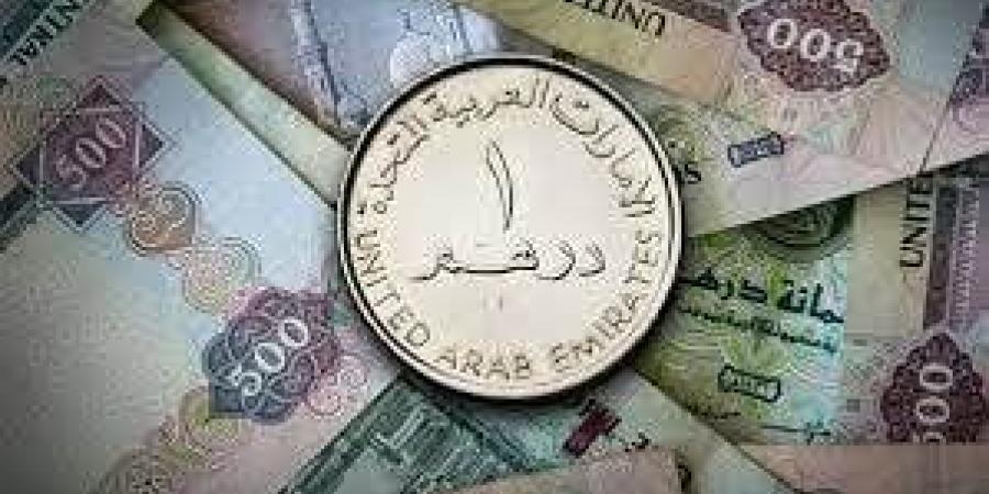 سعر الدرهم الإماراتى في مصر اليوم الأحد 19 يناير 2025 - خليج نيوز