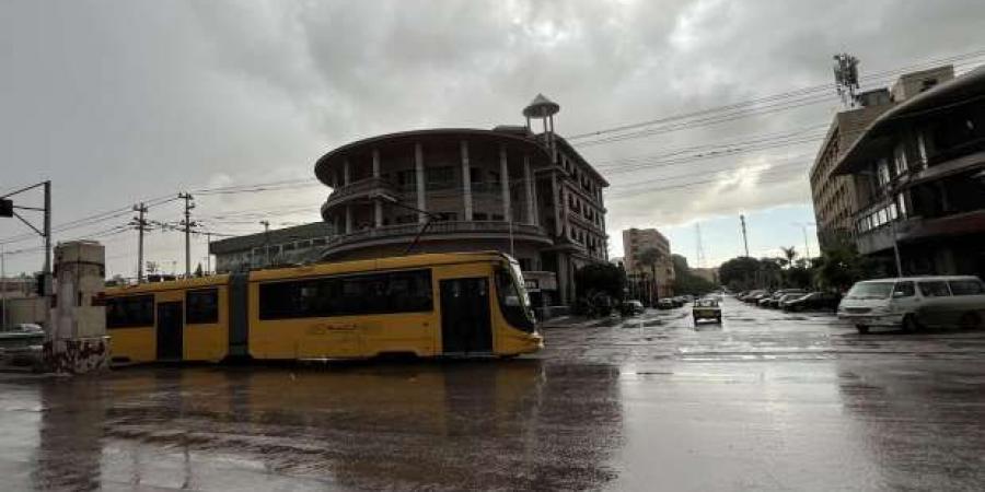 «الأرصاد»: أمطار غزيرة ومتفاوتة الشدة على الإسكندرية ومطروح والبحيرة - خليج نيوز