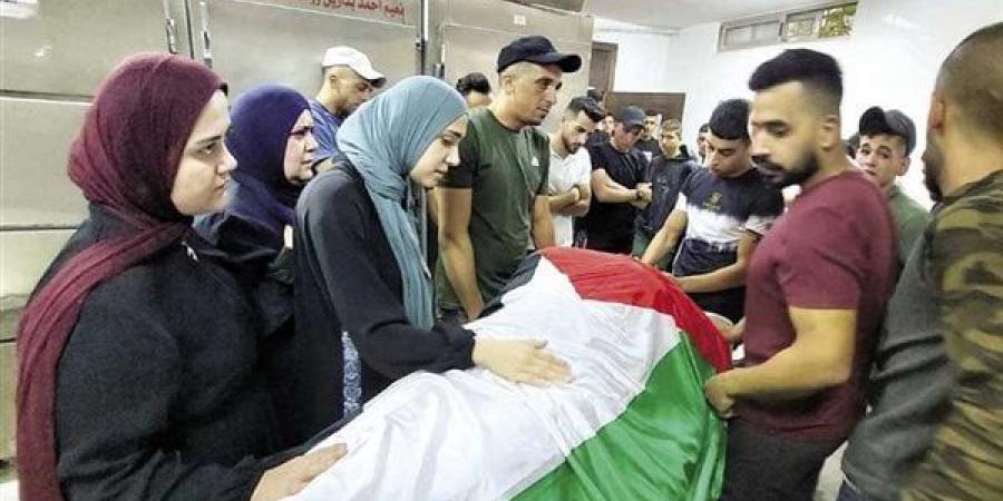 استشهاد فلسطينيين برصاص إسرائيلى قرب جنين خليج نيوز