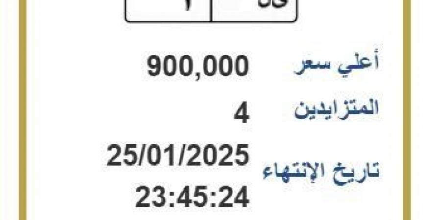 وصل سعرها إلى 900 ألف جنيه.. لوحة معدنية مميزة يتنافس عليها 4 أشخاص - خليج نيوز