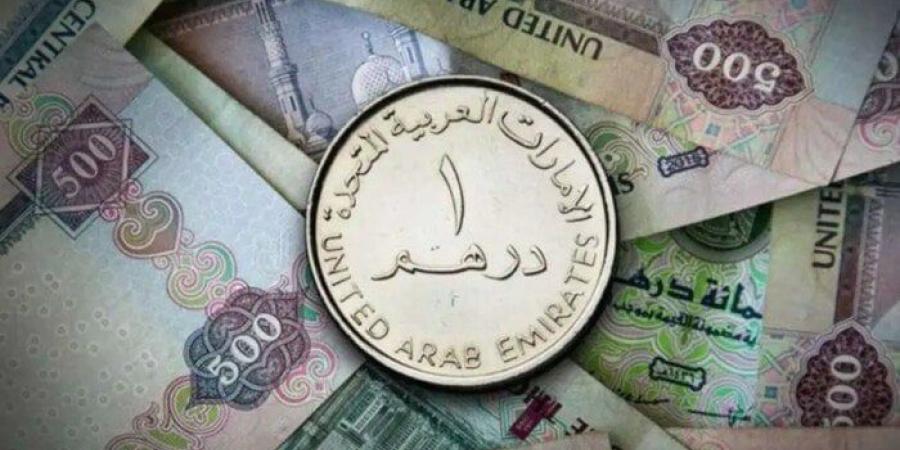 سعر الدرهم الإماراتي مقابل الجنيه اليوم الجمعة 24 يناير 2025 في البنوك.. وفقا لآخر تحديث - خليج نيوز