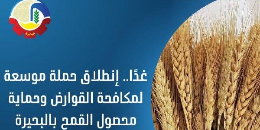 غدًا.. إنطلاق حملة موسعة لمكافحة القوارض وحماية محصول القمح بالبحيرة - خليج نيوز