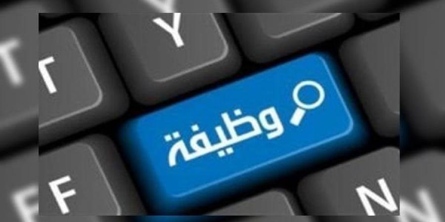 عاجل.. براتب 3900 درهم.. "العمل" تعلن عن وظائف للمصريين للعمل فى الإمارات 2025 خليج نيوز