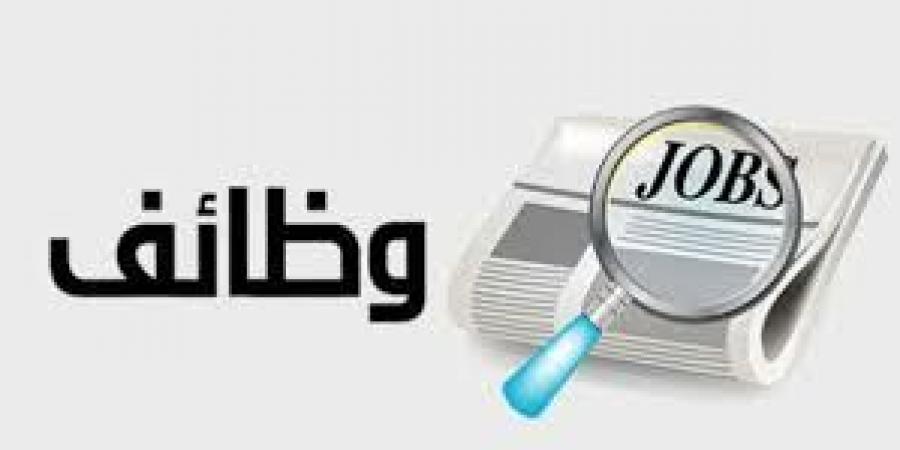 الأوراق المطلوبة للتقديم لوظائف معلم مساعد اللغة الإنجليزية ورابط التقديم - خليج نيوز