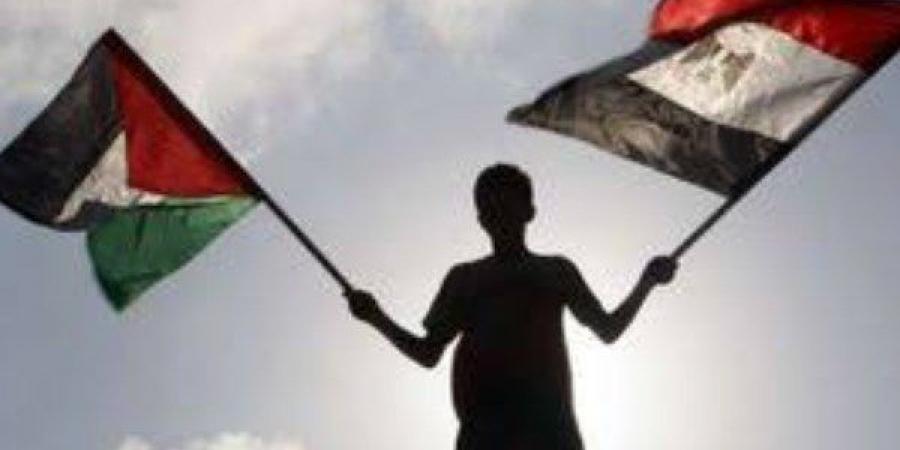 أشرف سنجر: مصر لن تخون القضية الفلسطينية ودورها واضح  للأطراف الدولية - خليج نيوز