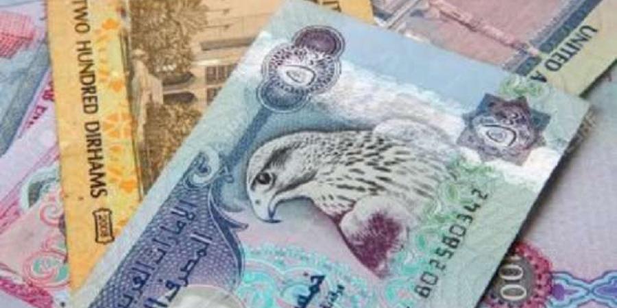 سعر الدرهم الإماراتي اليوم السبت 1-2-2025 في البنوك مقابل الجنيه - خليج نيوز