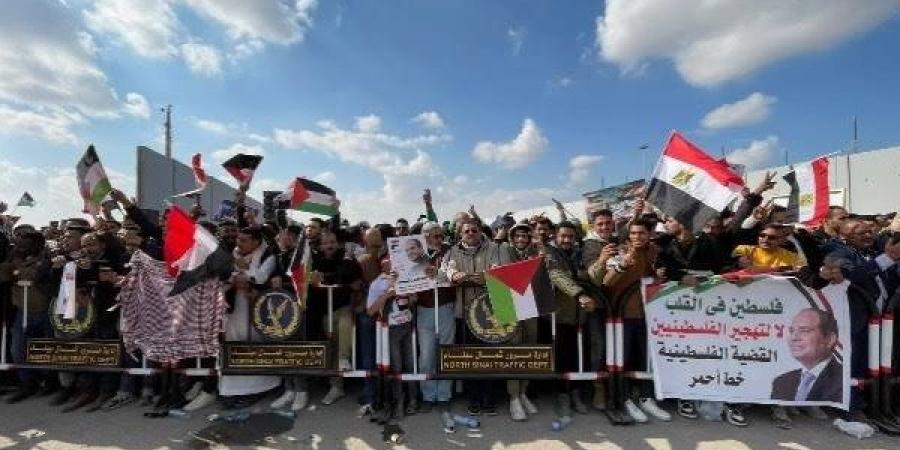 مصر تقف صفًا واحدًا ضد مخططات التهجير في فلسطين - خليج نيوز