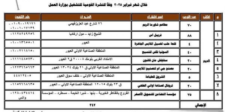 برواتب مجزية.. توفير 342 فرصة عمل للشباب بالقليوبية - خليج نيوز