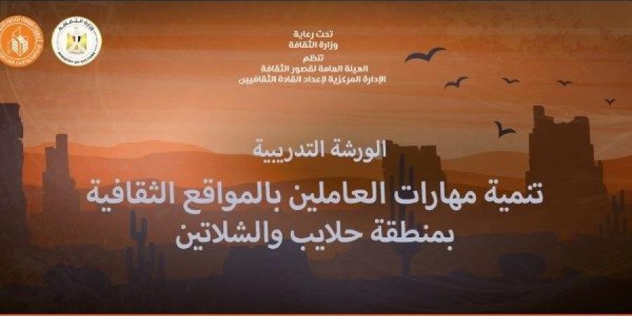 السبت.. قصور الثقافة تنظم ورشة لتنمية مهارات العاملين بحلايب والشلاتين - خليج نيوز