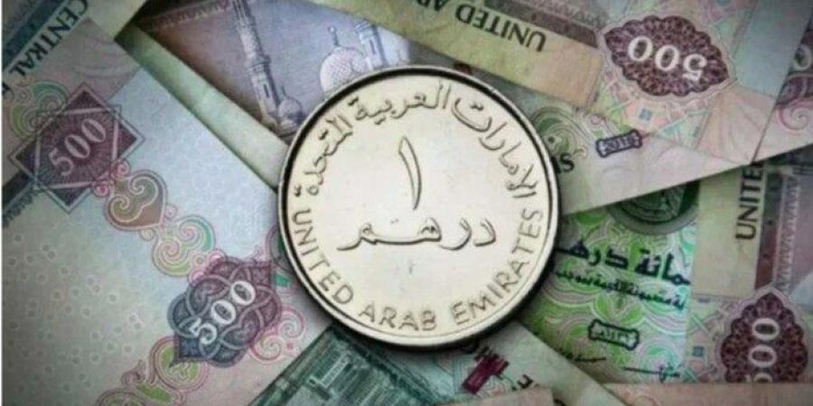 سعر الدرهم الإماراتي مقابل الجنيه المصري اليوم الإثنين 27 يناير 2025 في البنوك - خليج نيوز