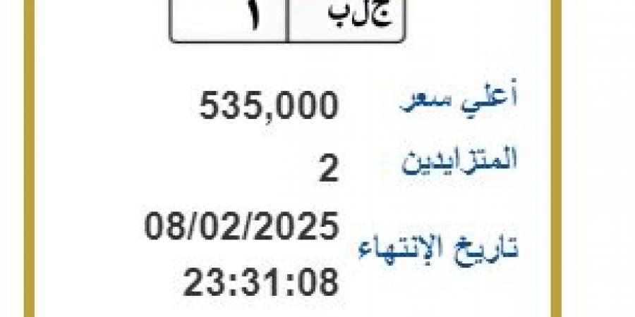 بوابة مرور مصر تطرح عددا من اللوحات المميزة فى مزايدة إلكترونيا خليج نيوز