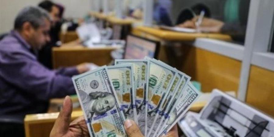 سعر الدولار في مصر: تحديثات أسعار الصرف اليوم السبت 8 فبراير 2025 خليج نيوز