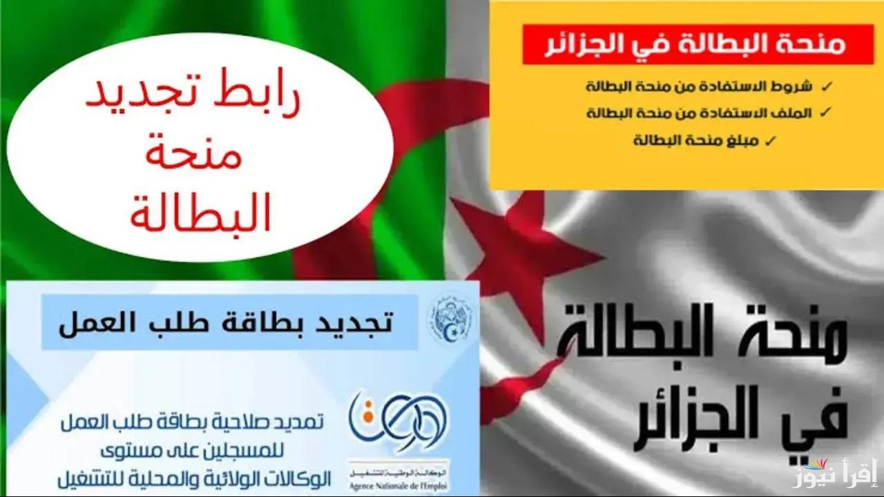 تفاصيل منحة البطالة الجزائرية 2025